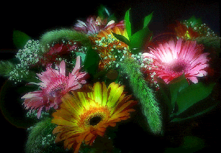 Różowe i żółte gerbery